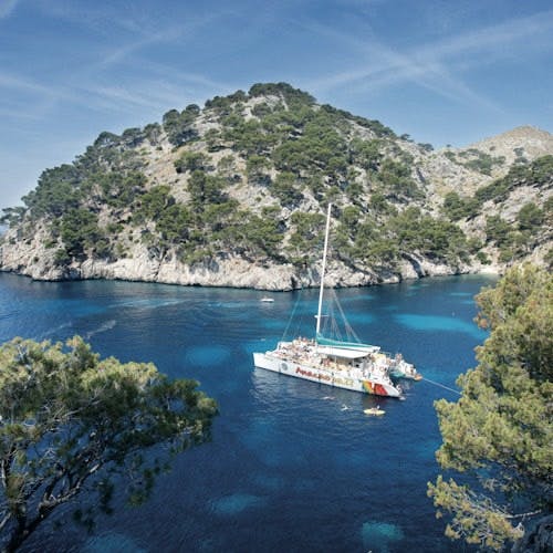 Imagen del tour: Crucero en catamarán por Mallorca con comida y esnórquel