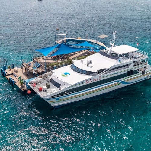Imagen del tour: Crucero por el arrecife de la isla Lembongan