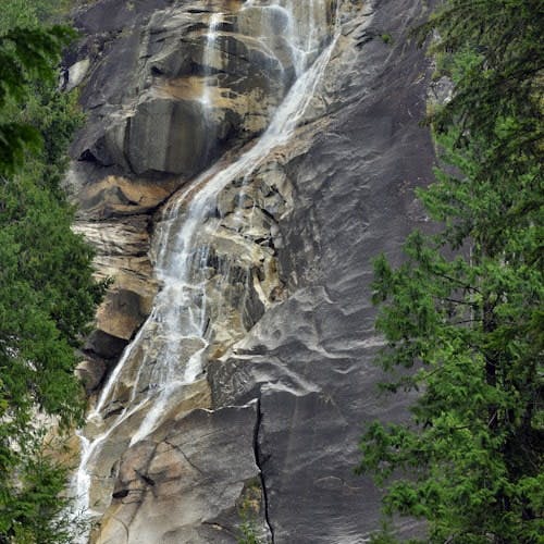 Imagen del tour: Whistler + Cataratas Shannon: Excursión desde Vancouver
