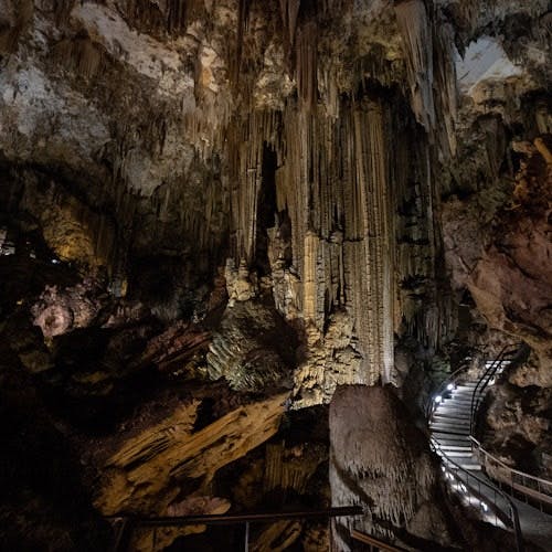 Imagen del tour: Cueva de Nerja