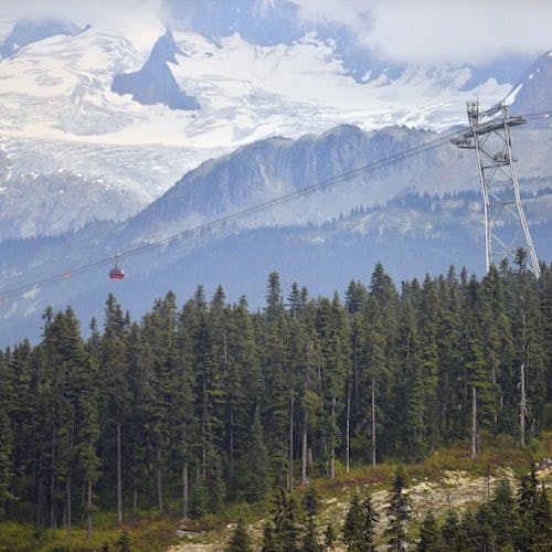 Imagen del tour: Whistler y teleférico Sea to Sky Gondola: Tour de un día desde Vancouver