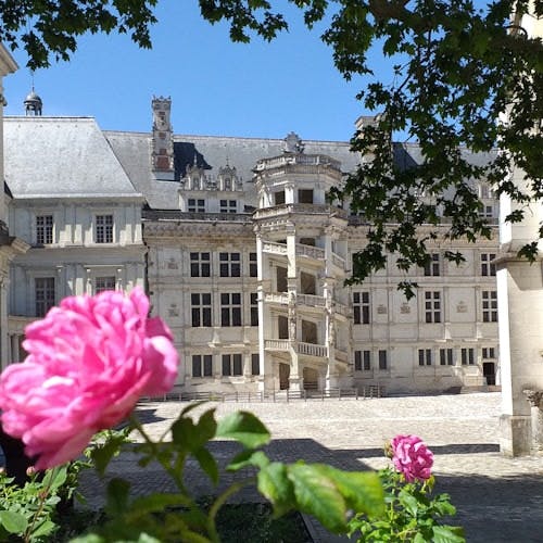 Imagen del tour: Castillo real de Blois: Entrada + Espectáculo de luz y sonido opcional