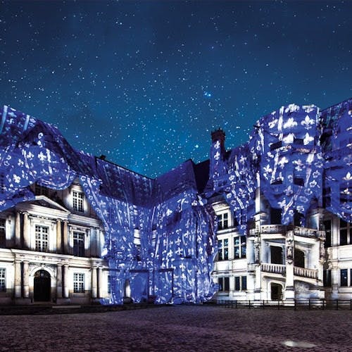 Imagen del tour: Castillo real de Blois: Espectáculo de luz y sonido