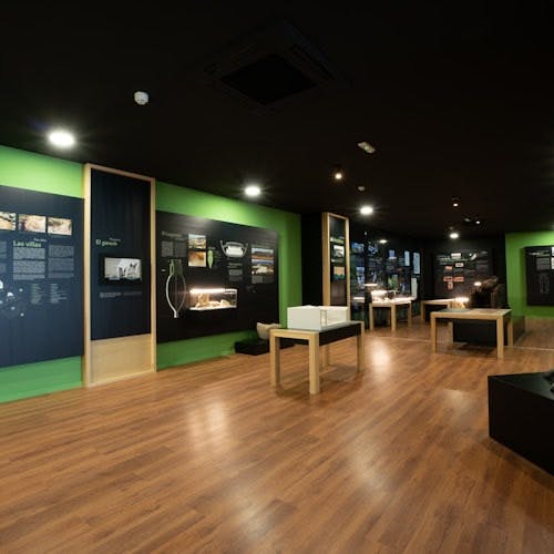 Imagen del tour: Museo de Nerja