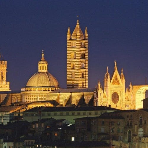 Imagen del tour: Complejo de la Catedral de Siena: Sáltate la cola