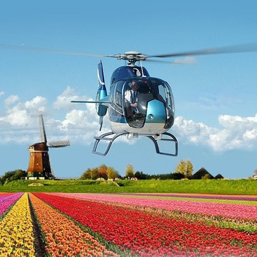 Imagen del tour: Vuelo en helicóptero sobre los campos de flores holandeses cerca del Keukenhof