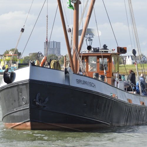 Imagen del tour: Crucero histórico de remolcadores holandeses en el "Bruinvisch