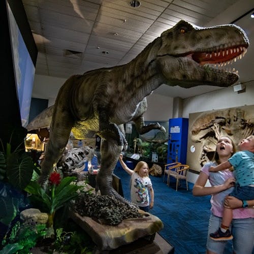 Imagen del tour: Museo Nacional de Dinosaurios: Sin colas