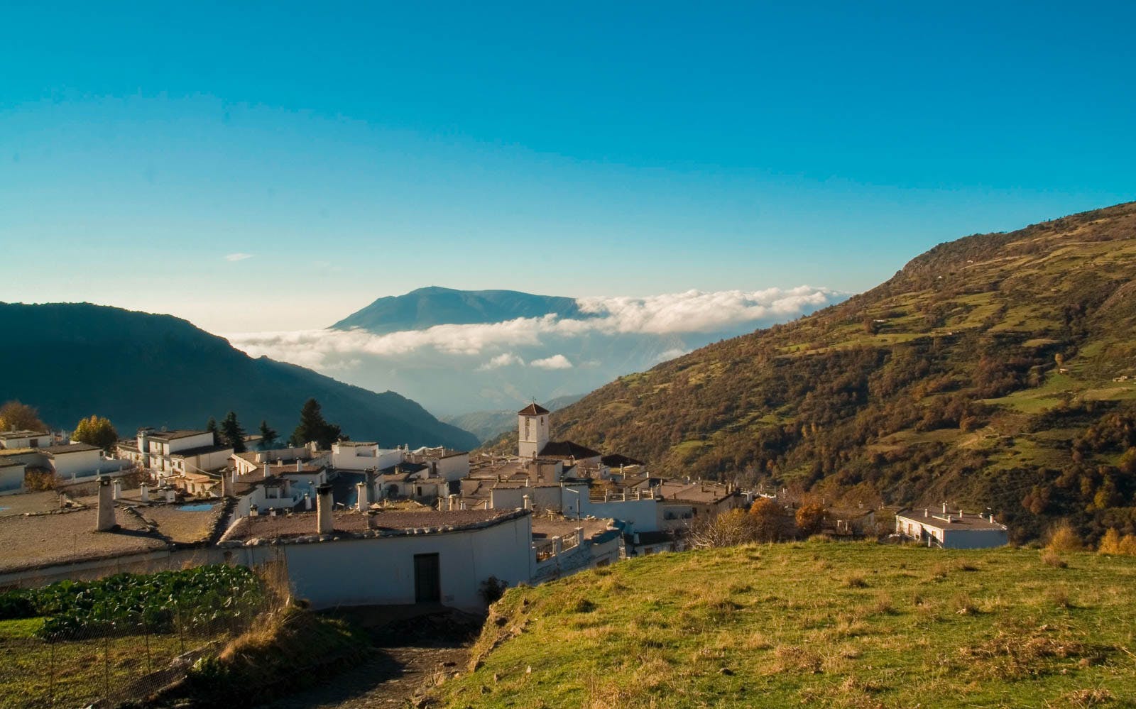 Imagen del tour: Alpujarras Day Trip from Granada