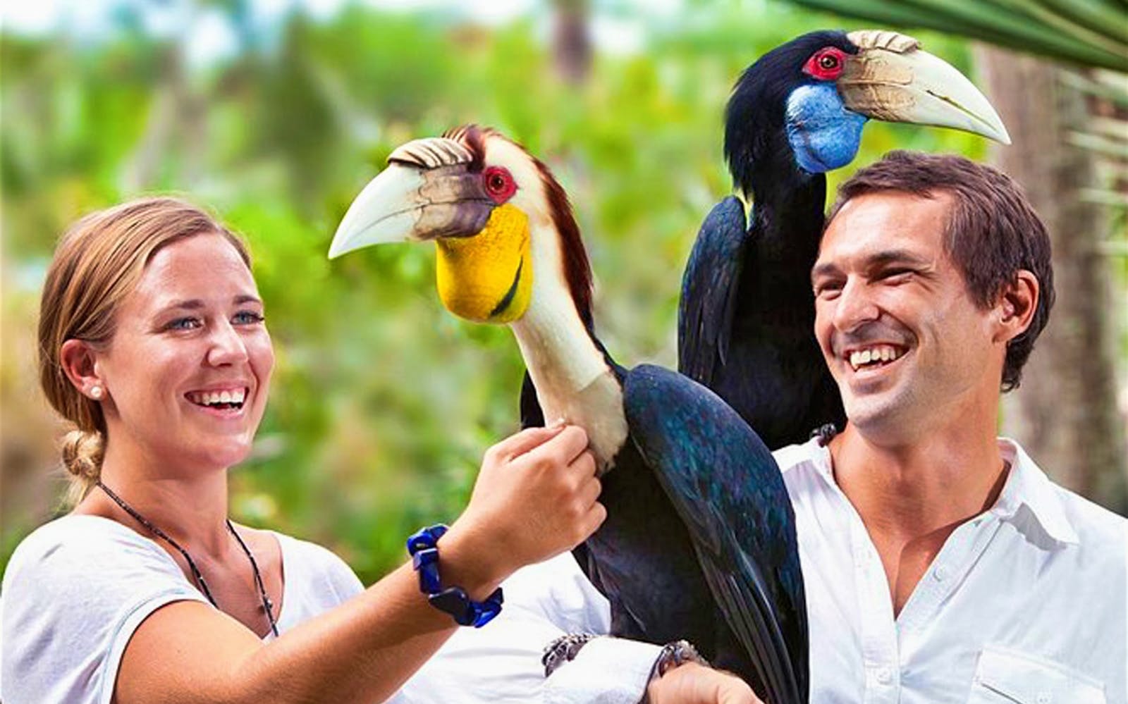 Imagen del tour: Bali Bird Park - 1 Day Admission Ticket