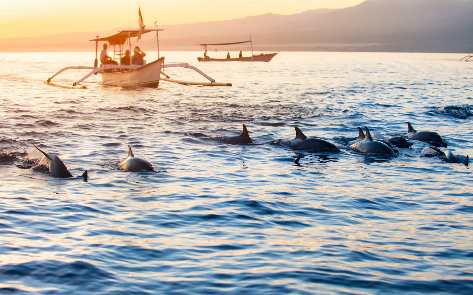 Imagen del tour: Bali Dolphin Watching & Sunrise at Lovina Beach – Full Day