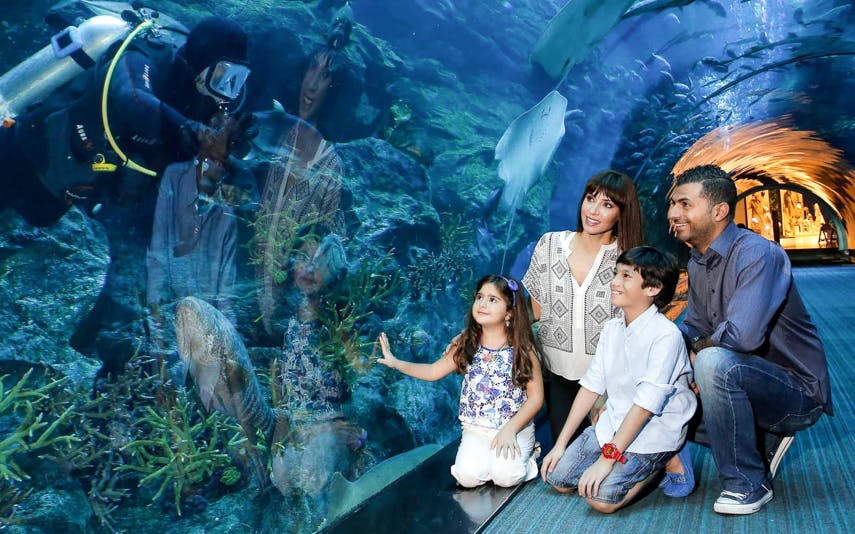 Imagen del tour: Entradas al Acuario y Zoológico Submarino de Dubái