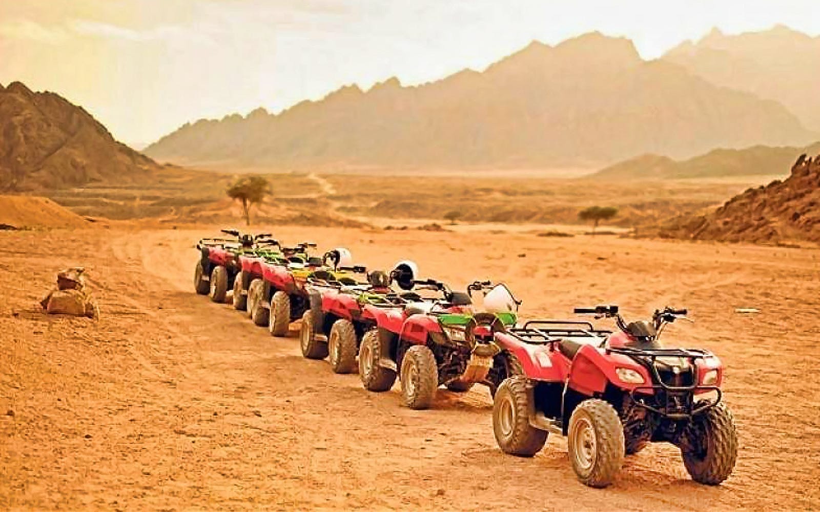 Imagen del tour: Desert Safari Trip by Quad Bike