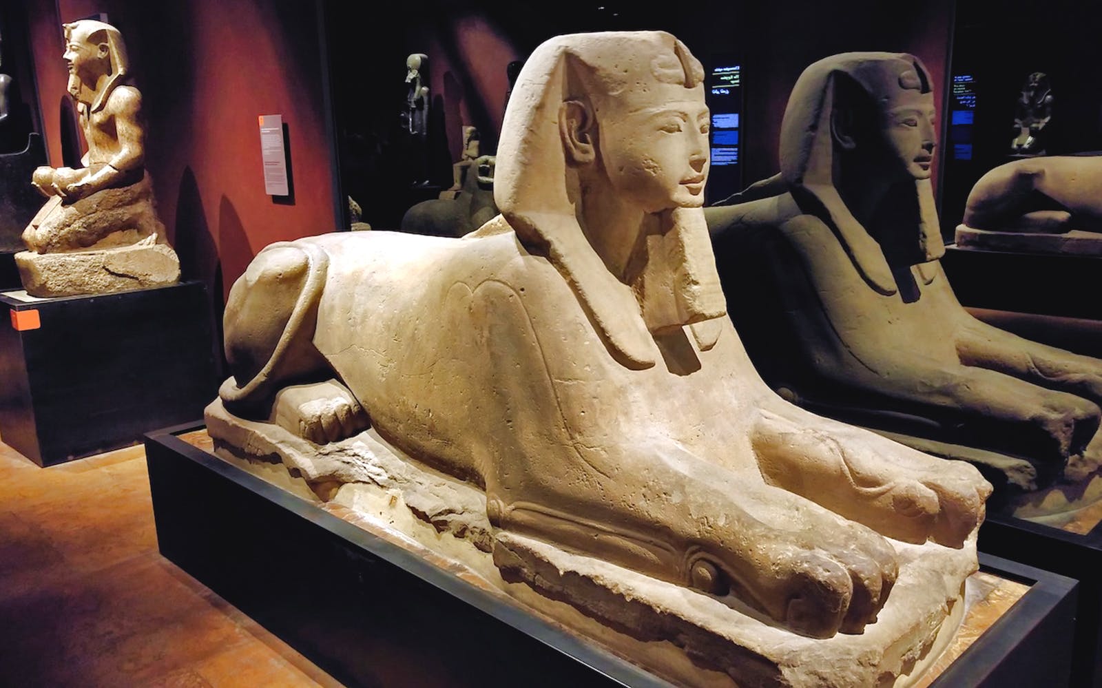 Imagen del tour: Visita guiada al Museo Egipcio y al Palacio Real