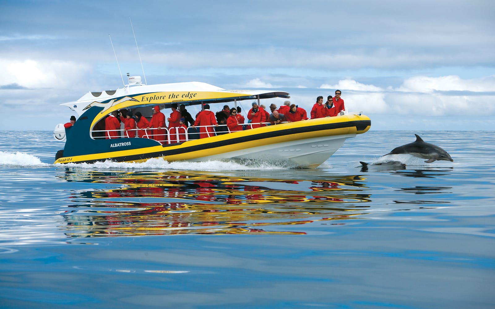 Imagen del tour: Tasman Island Cruise: 3-Hour Wilderness Cruise