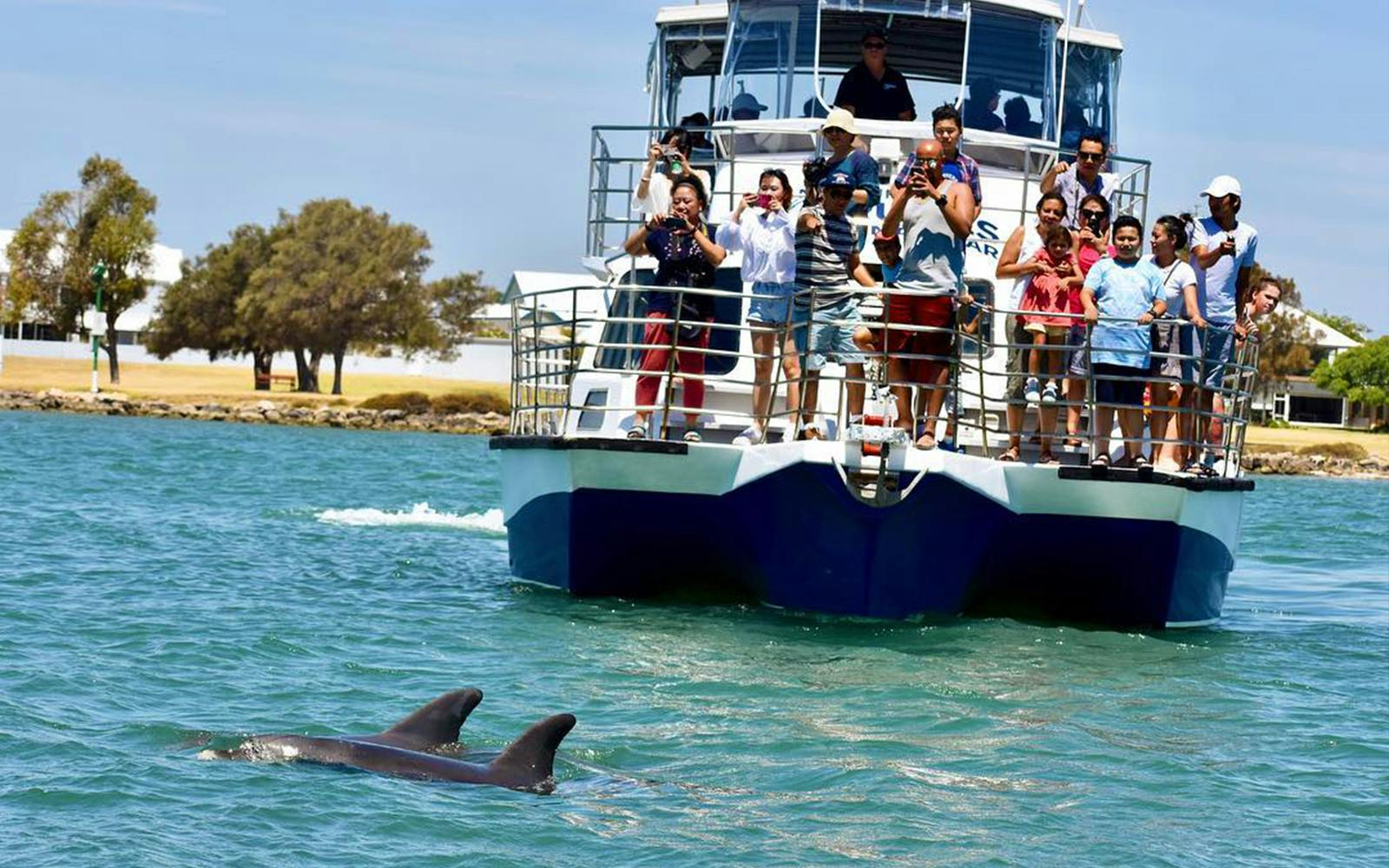 Imagen del tour: Dolphin & Scenic Marine Cruise from Perth