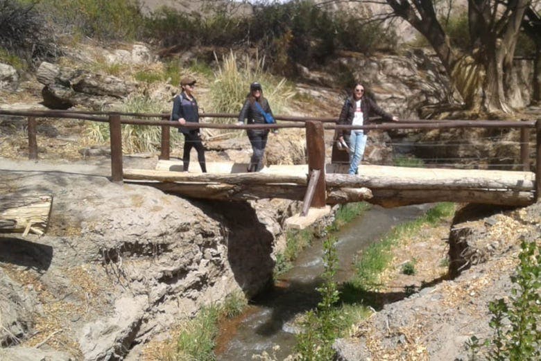 Imagen del tour: Excursión al Parque Nacional El Leoncito