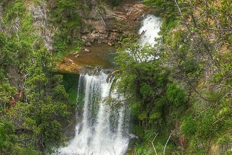 Imagen del tour: Excursión a las cascadas del Nant y Fall