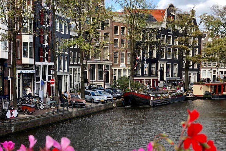 Imagen del tour: Excursión a Ámsterdam