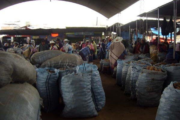 Imagen del tour: Tour de compras por el mercado de la Cancha
