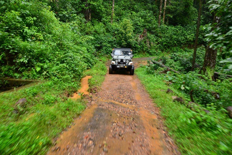 Imagen del tour: Tour en jeep por Serra da Bocaina