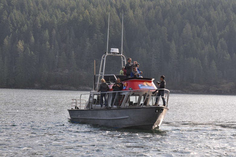 Imagen del tour: Paseo en barco por Campbell River
