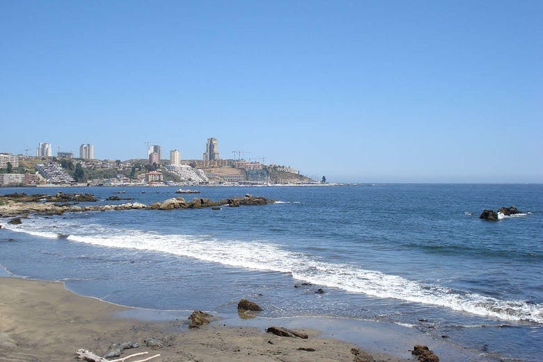 Imagen del tour: Excursión a Valparaíso y Viña del Mar