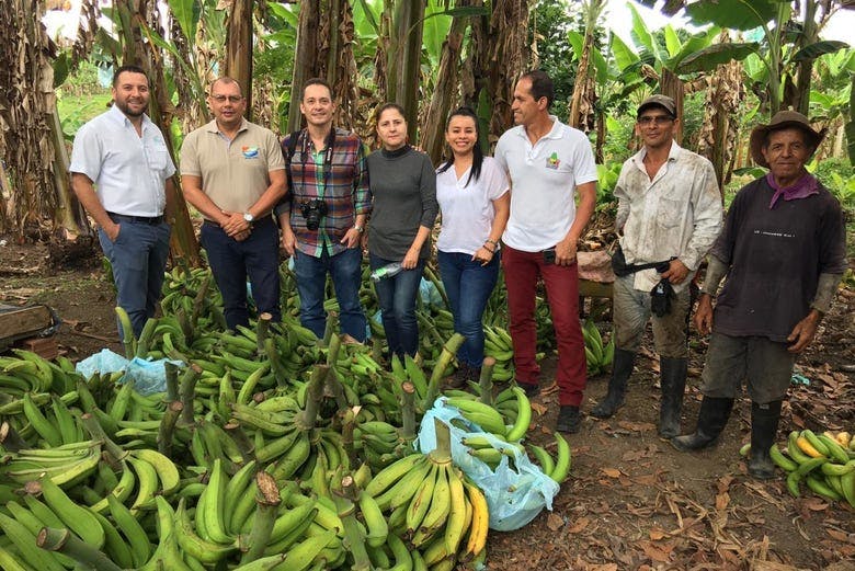Imagen del tour: Excursión a Pereira + Visita a una finca de plátanos