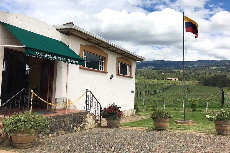 Imagen del tour: Visita al viñedo Marqués de Villa de Leyva