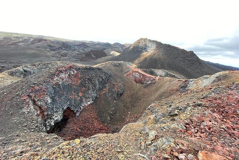 Imagen del tour: Excursión al volcán Sierra Negra