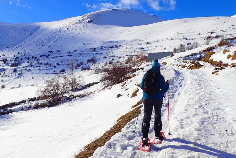 Imagen del tour: Paseo con raquetas de nieve por Ordesa y Monte Perdido 