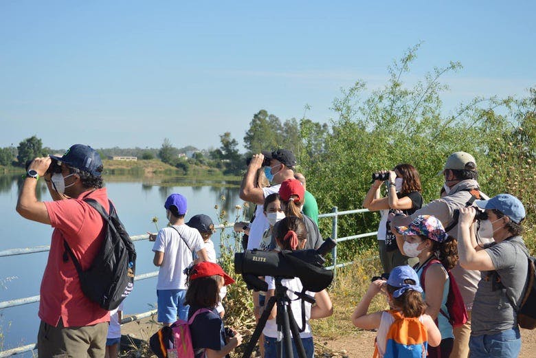 Imagen del tour: Avistamiento de aves en Badajoz