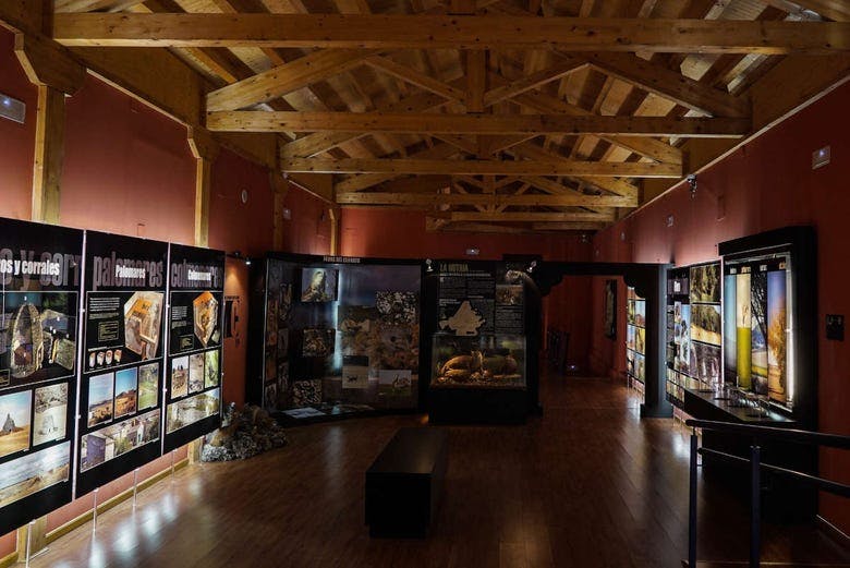 Imagen del tour: Entrada al Museo del Cerrato Castellano