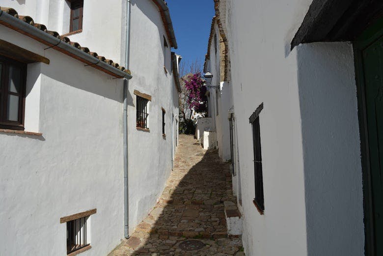 Imagen del tour: Visita guiada por Castellar Viejo