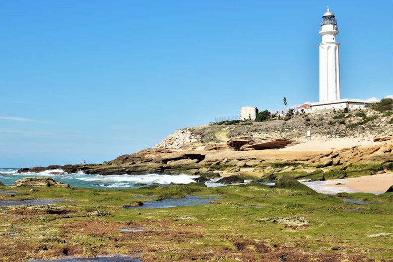 Imagen del tour: Senderismo por Cabo Trafalgar, La Breña y Barbate