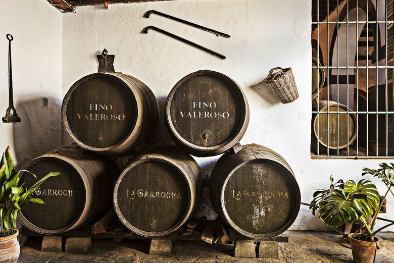 Imagen del tour: Tour del vino de Jerez