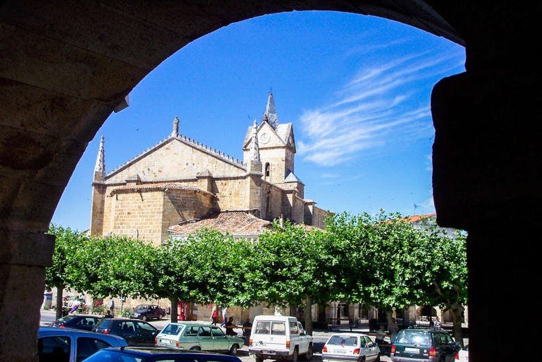 Imagen del tour: Tour privado por Espinosa de los Monteros