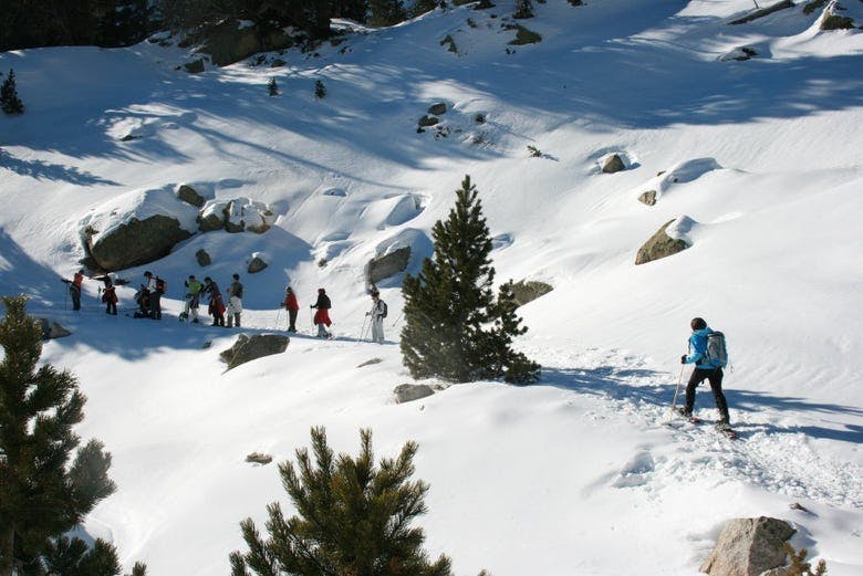 Imagen del tour: Paseo con raquetas de nieve por el Parque Nacional de Aigüestortes