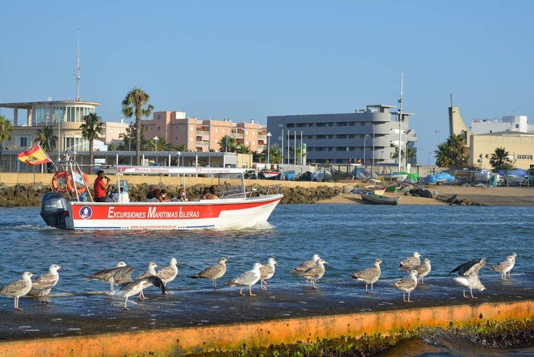 Imagen del tour: Paseo en barco por las marismas de Isla Cristina y Punta del Moral