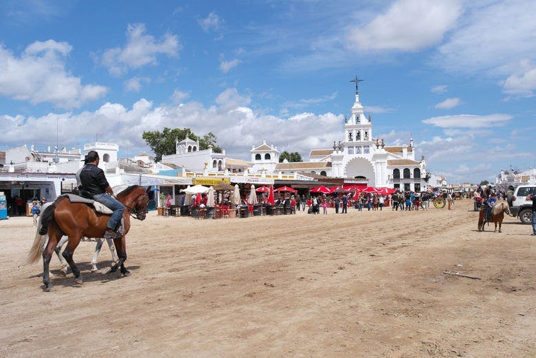 Imagen del tour: Ruta de toros y vino por el Condado de Huelva