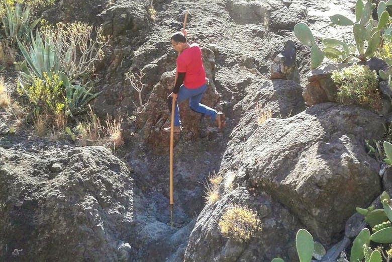 Imagen del tour: Salto del pastor canario en Valle Gran Rey