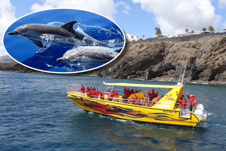 Imagen del tour: Avistamiento de delfines + Snorkel desde Puerto del Carmen