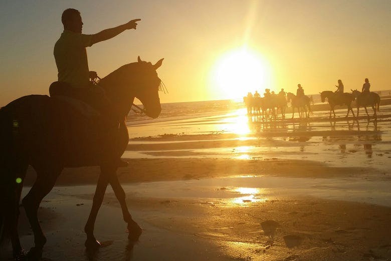 Imagen del tour: Paseo a caballo al atardecer por Doñana