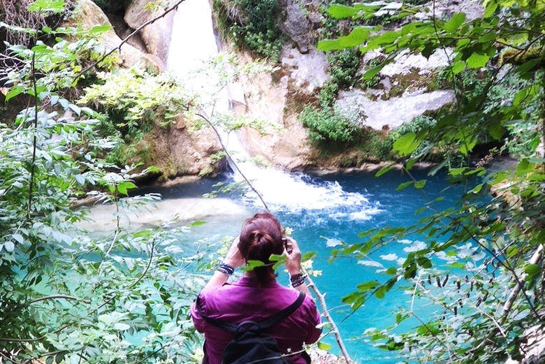 Imagen del tour: Excursión al Nacedero del río Urederra