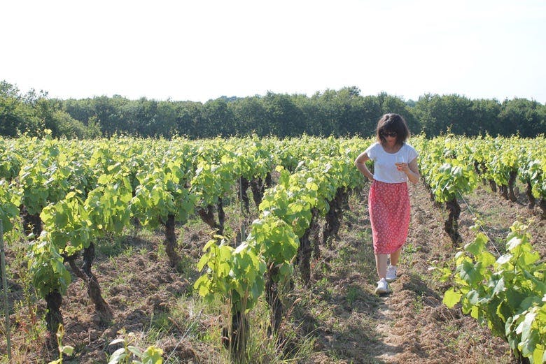 Imagen del tour: Excursión a Clisson y los viñedos de Nantes