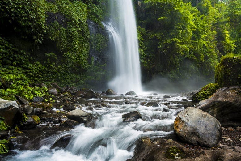 Imagen del tour: Excursión privada a las cascadas Sendang Gile y Tiu Kelep