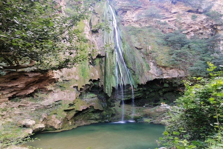 Imagen del tour: Excursión privada a las cascadas de Akchour