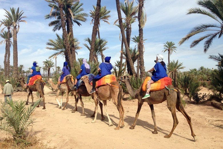 Imagen del tour: Paseo en camello por el palmeral