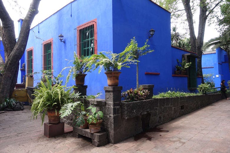Imagen del tour: Coyoacán, Xochimilco y Museo Frida Kahlo