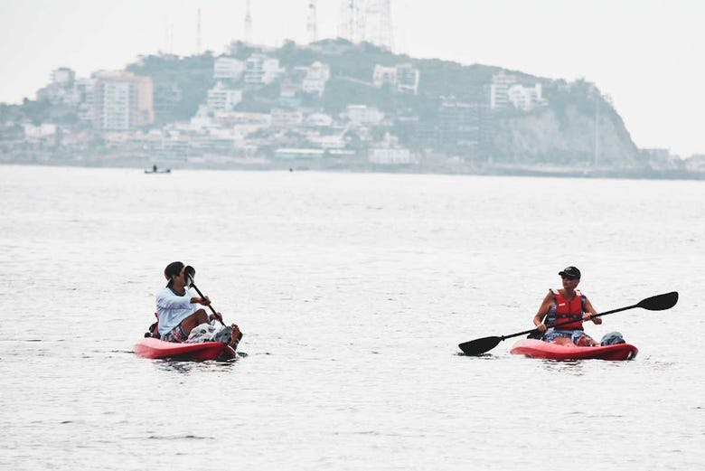 Imagen del tour: Kayak y snorkel en Isla de Venados